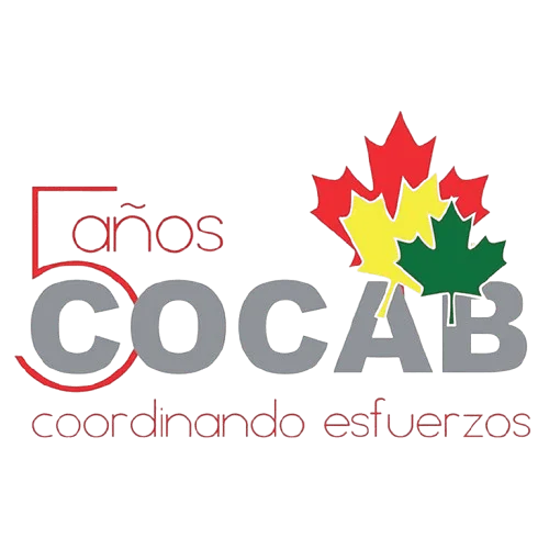 Coordinadora de Organizaciones de la Sociedad Civil Canadiense en Bolivia logo